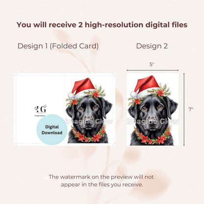 Festive Black Labrador Retriever Christmas card for dog lovers.