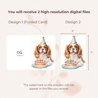 Dog birthday card featuring a Cavalier King Charles Spaniel for a joyful celebration.