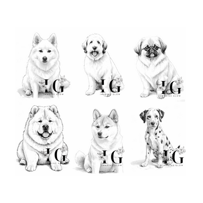 Siberian Husky, Goldendoodle, Pekingese, Chow Chow, Shiba Inu, Dalmatian, coloring pages