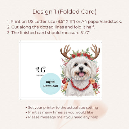 Maltese Dog Christmas Card - Dog Festive Card