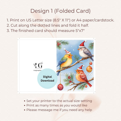 Festive Christmas card with colorful birds and holly illustrations.