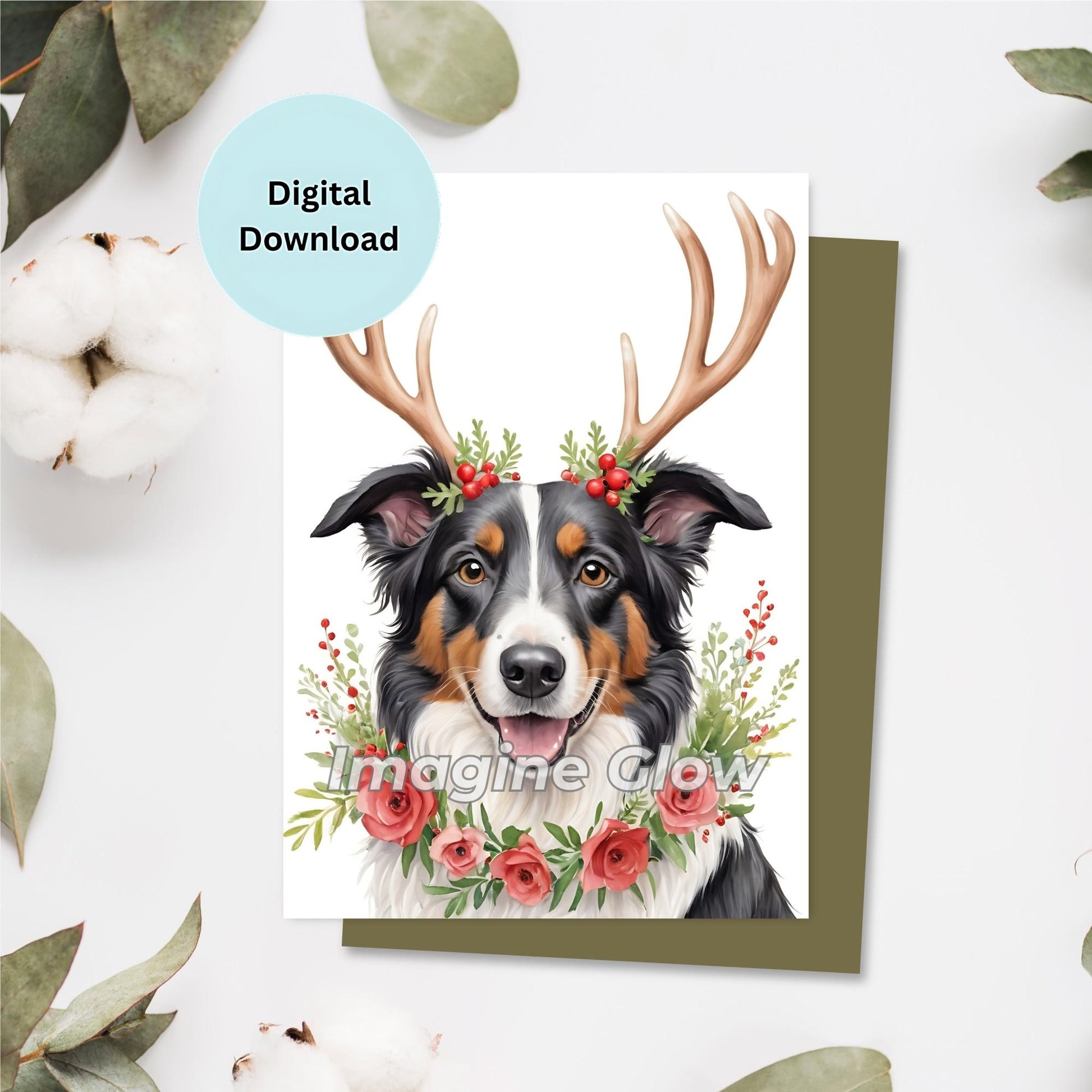 Printable Christmas card featuring a Border Collie dog.