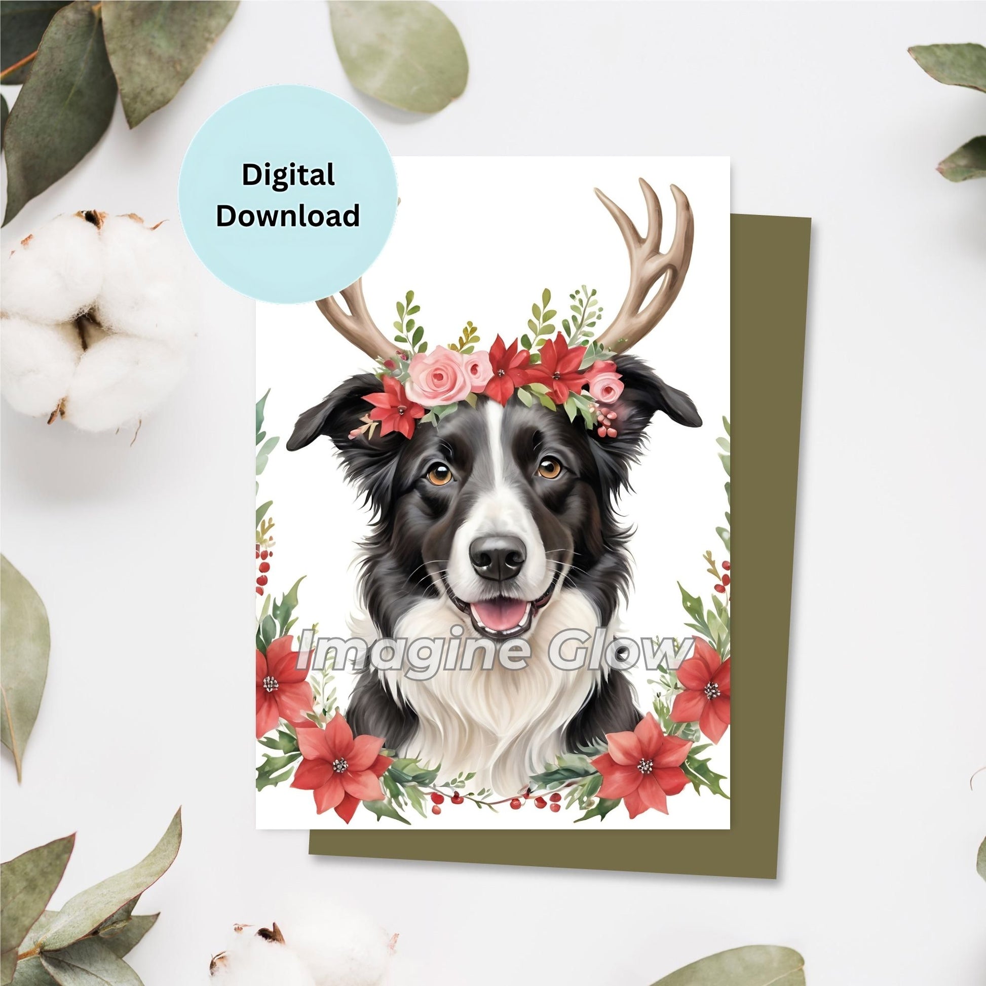 Printable Christmas card featuring a Border Collie dog.