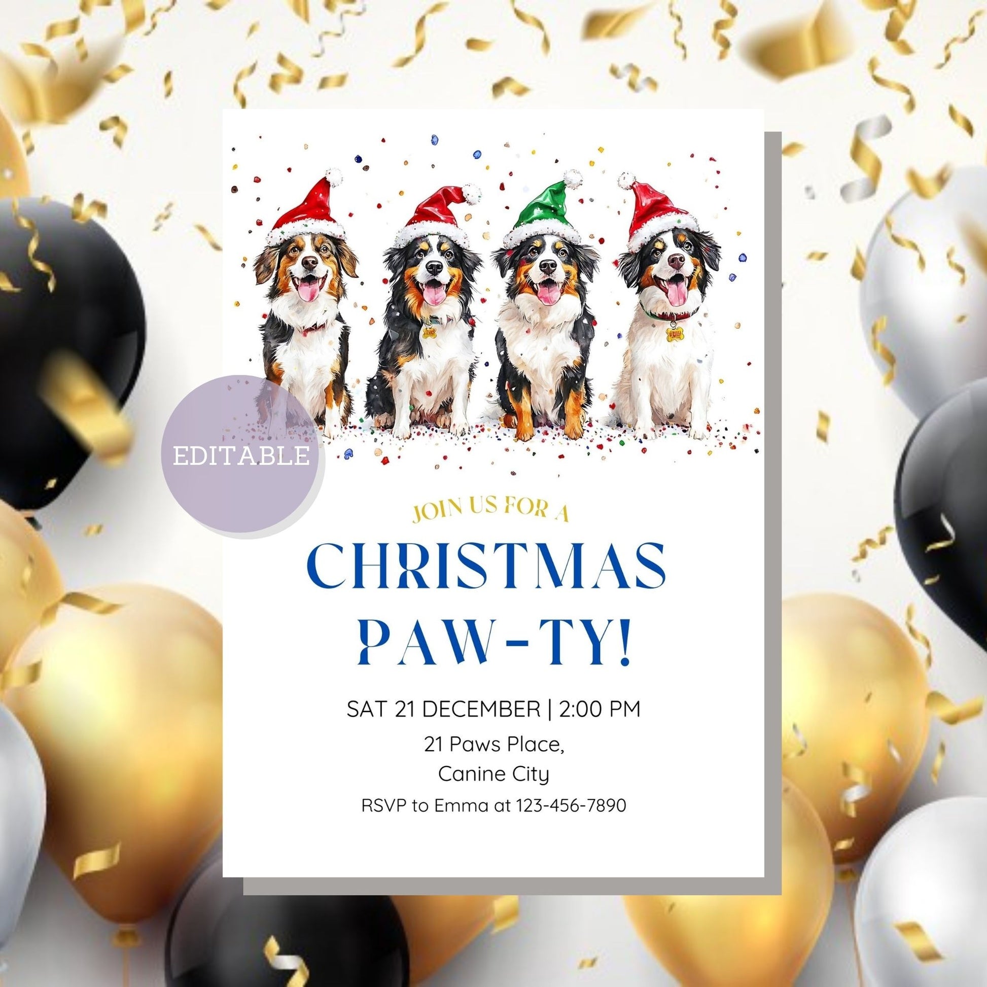 Digital download Australian Shepherd holiday party invitation.
Canva editable Australian Shepherd Christmas party invite.