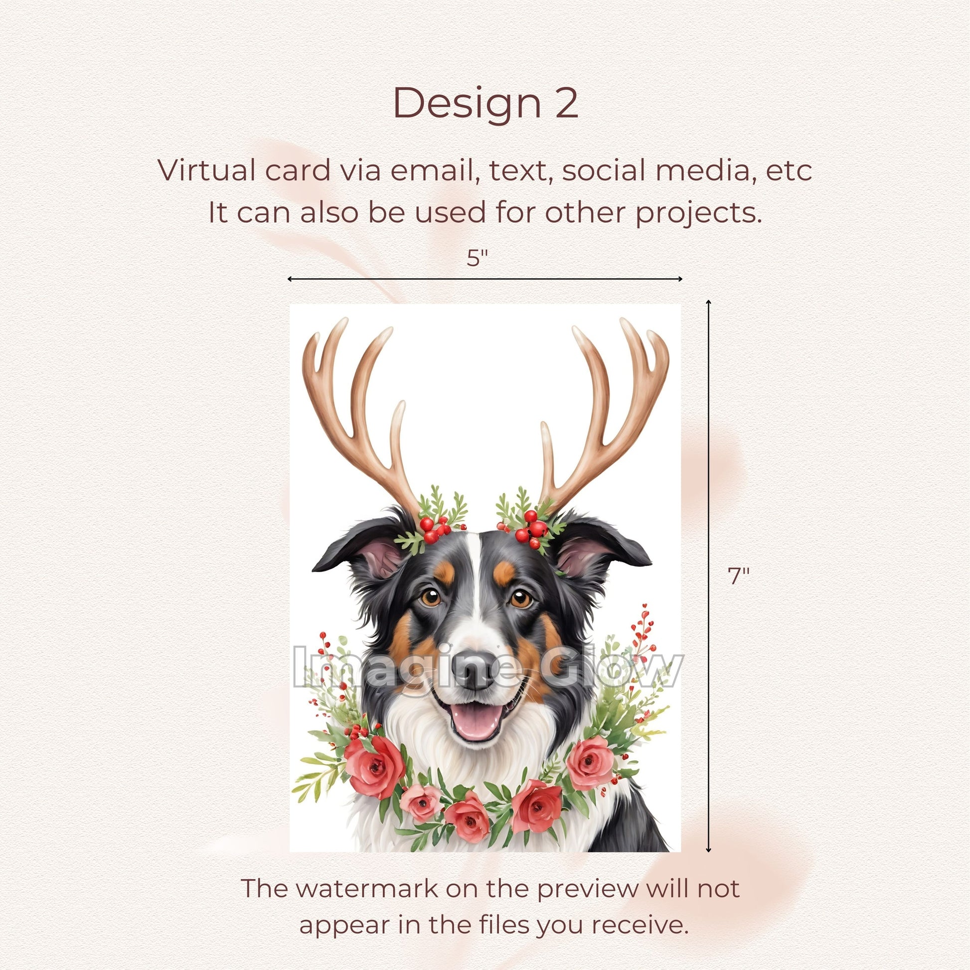 Charming Christmas card with a Border Collie dog illustration.