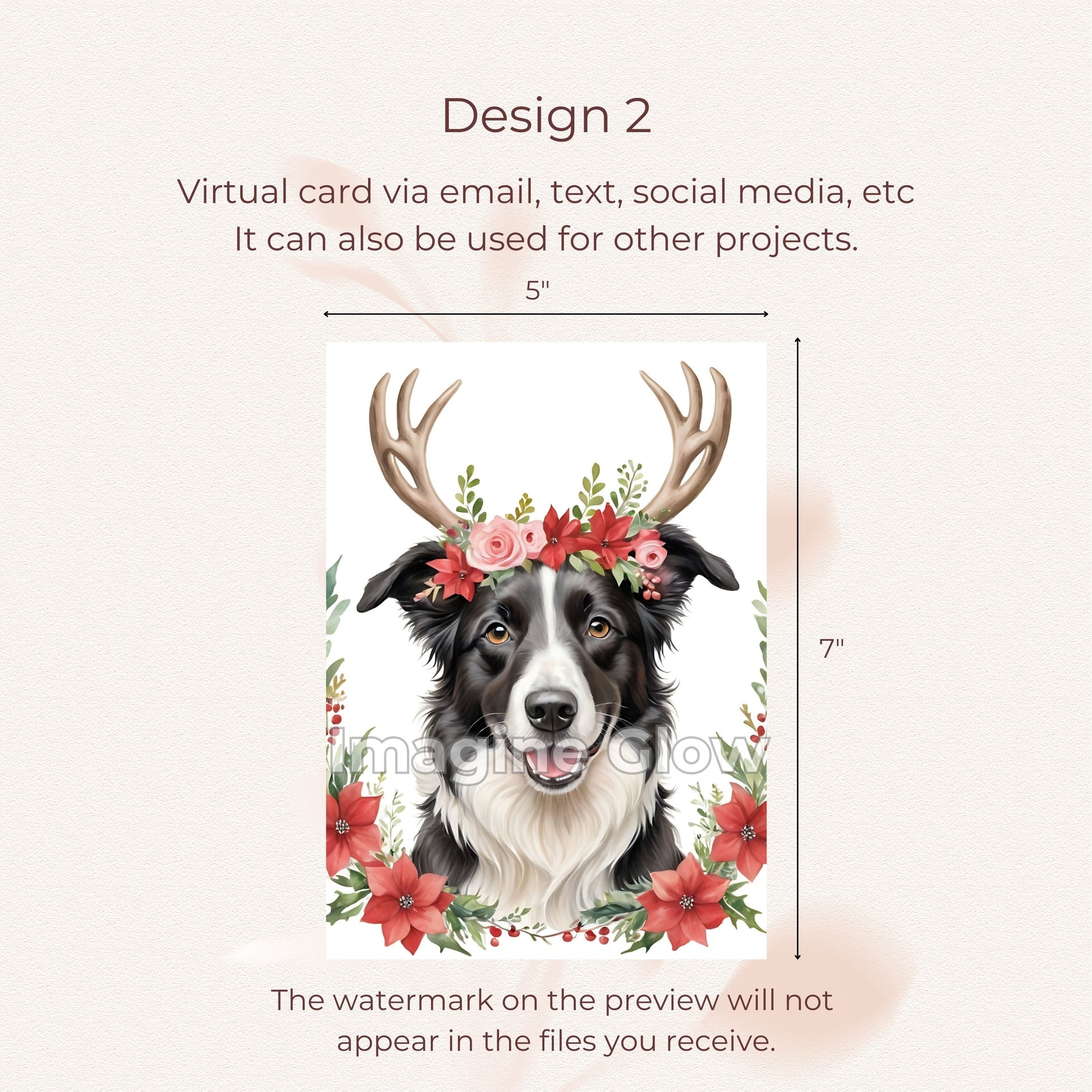 Charming holiday card with a Border Collie dog illustration.