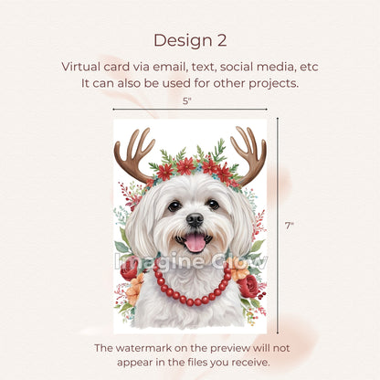 Maltese Dog Christmas Card - Dog Festive Card