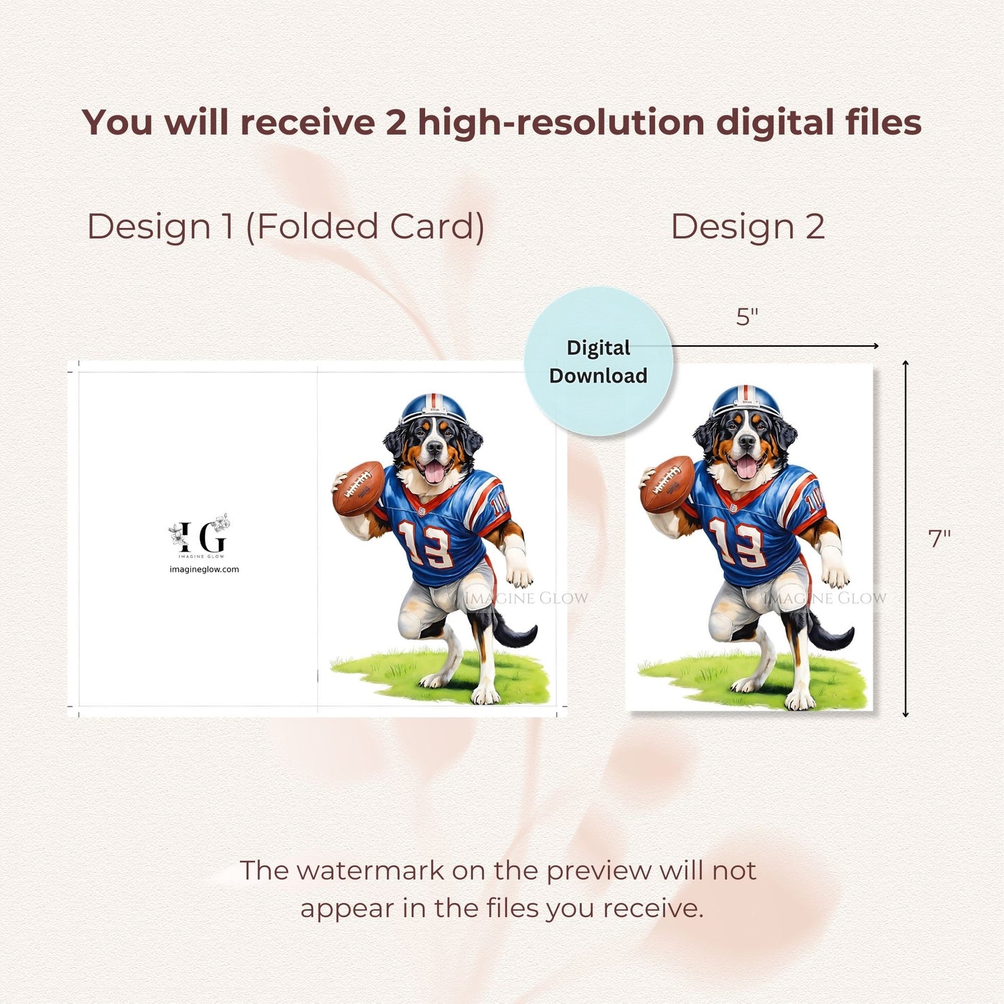 Cute Bernese Mountain Dog in football gear for a festive greeting card