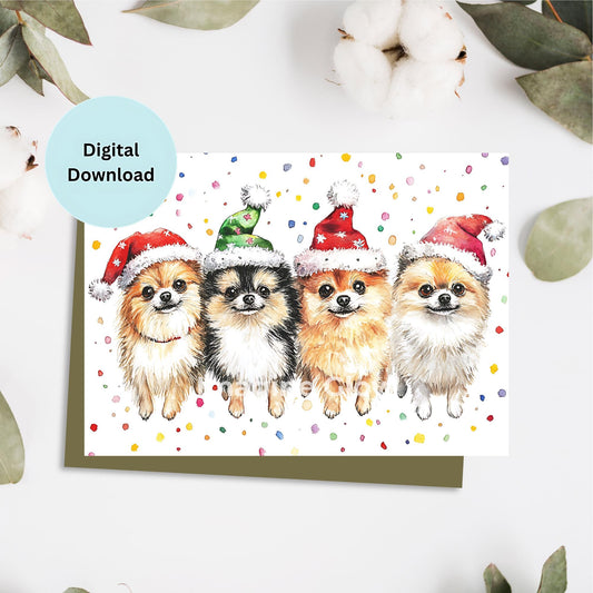 Cute Pomeranian Dogs Christmas card with festive decorations