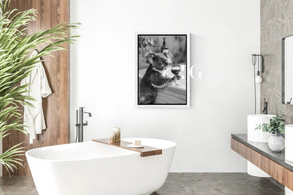 Funny bathroom wall decor with a playful koala in a tub