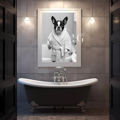 Playful Boston Terrier dog in bathrobe design for bathroom decor.