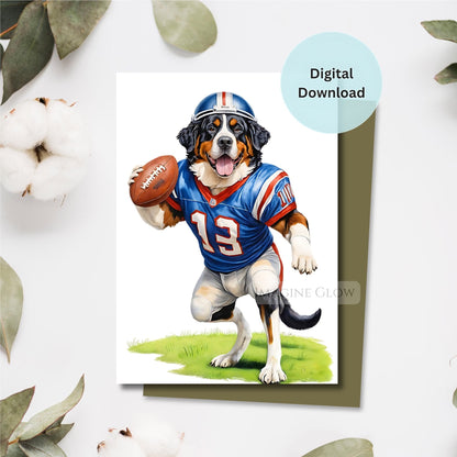 Bernese Mountain Dog wearing a football helmet and costume for birthday celebration