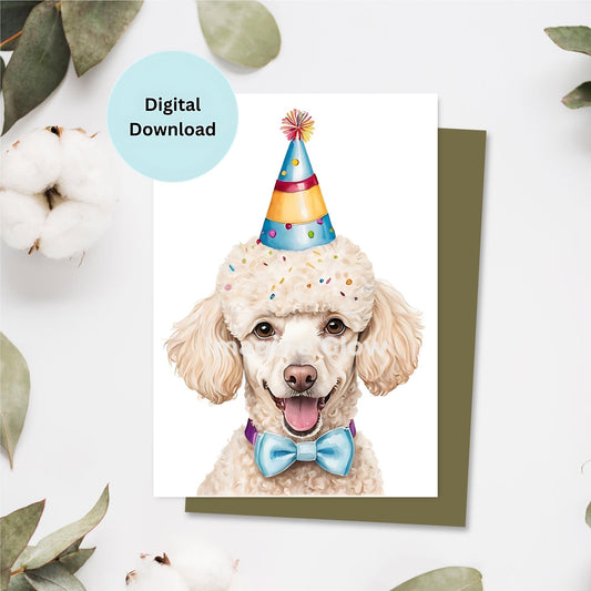 Cute Poodle dog birthday card for pet lovers.