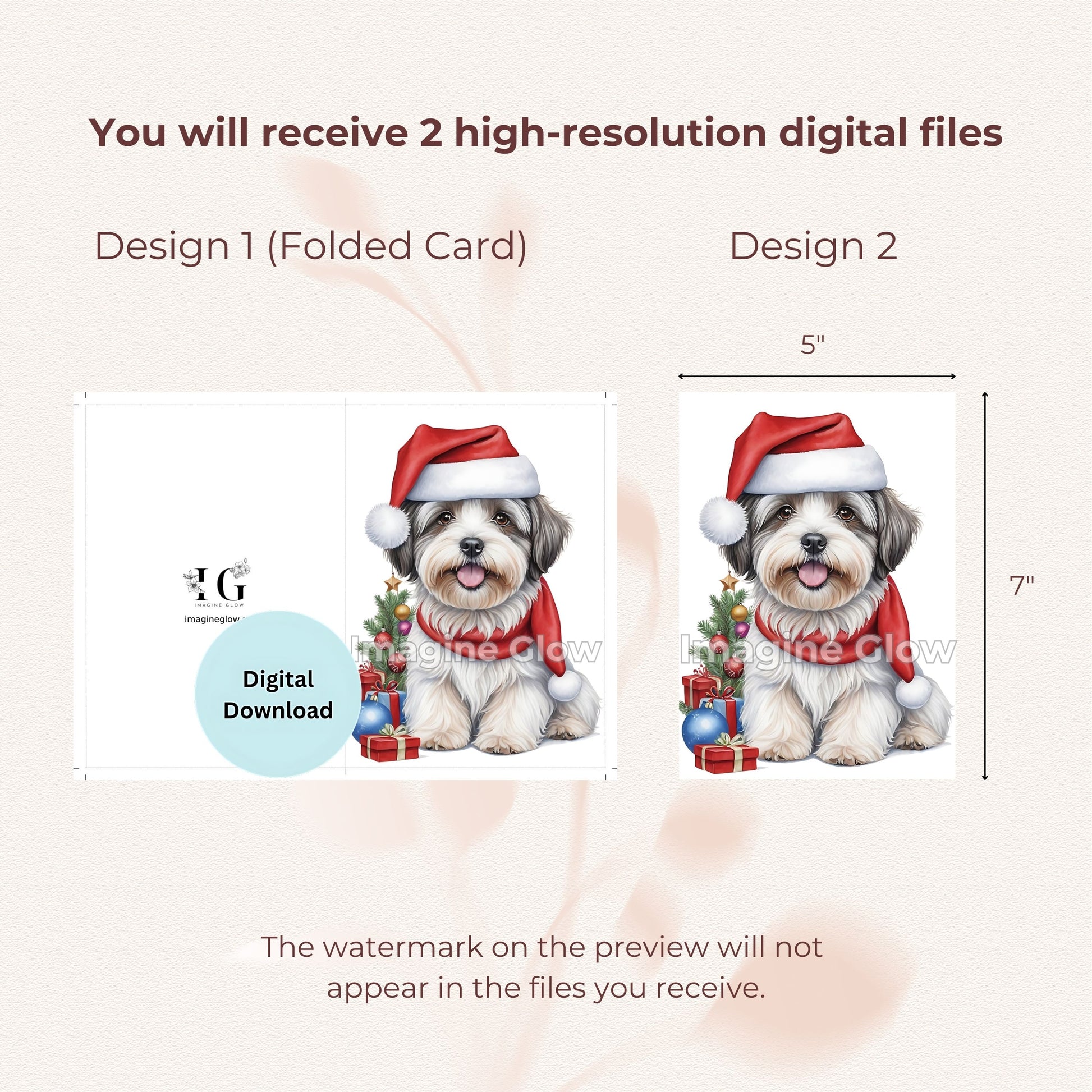 Holiday greeting card featuring a Havanese dog, printable.