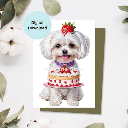 Maltese dog birthday card printable with an adorable dog illustration