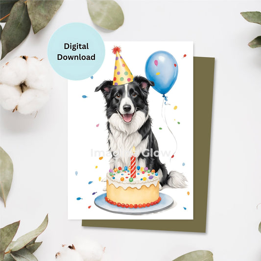 Printable birthday card featuring a Border Collie dog.