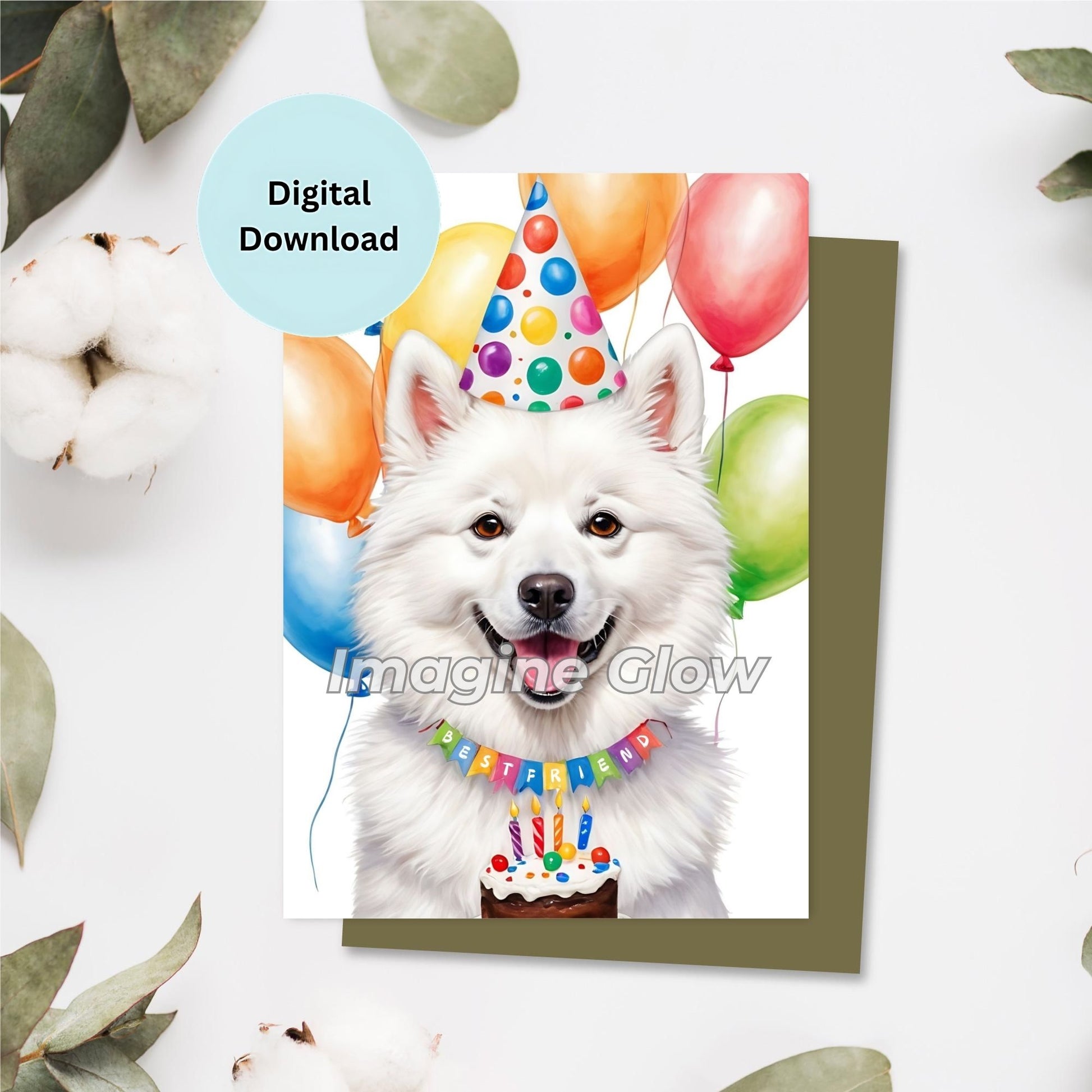  A colorful birthday card featuring a fluffy American Eskimo Dog.