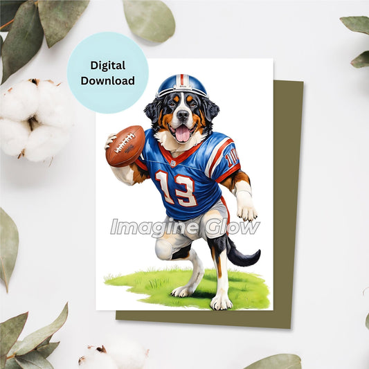 Bernese Mountain Dog wearing a football helmet and costume for birthday celebration