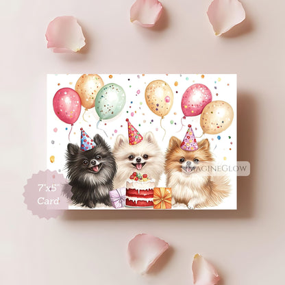 cute birthday card with three pomeranians
