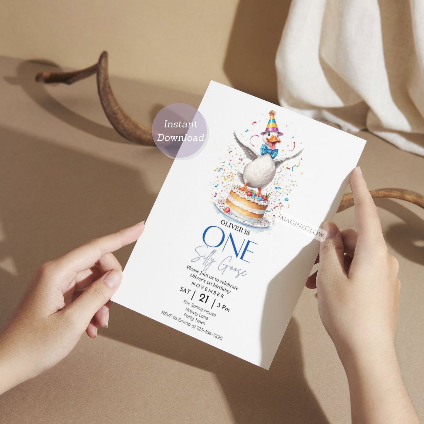 Customizable goose theme baby boy birthday invite
