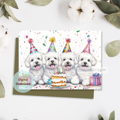 bichon frise dog lover birthday card
white fluffy dog birthday card
bichon dog printable greeting
