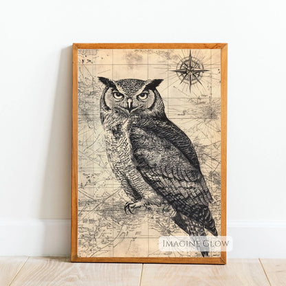 Nature owl on vintage map wall decor
