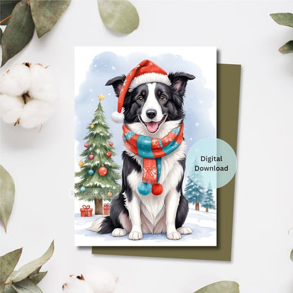 border collie christmas card festive dog design
