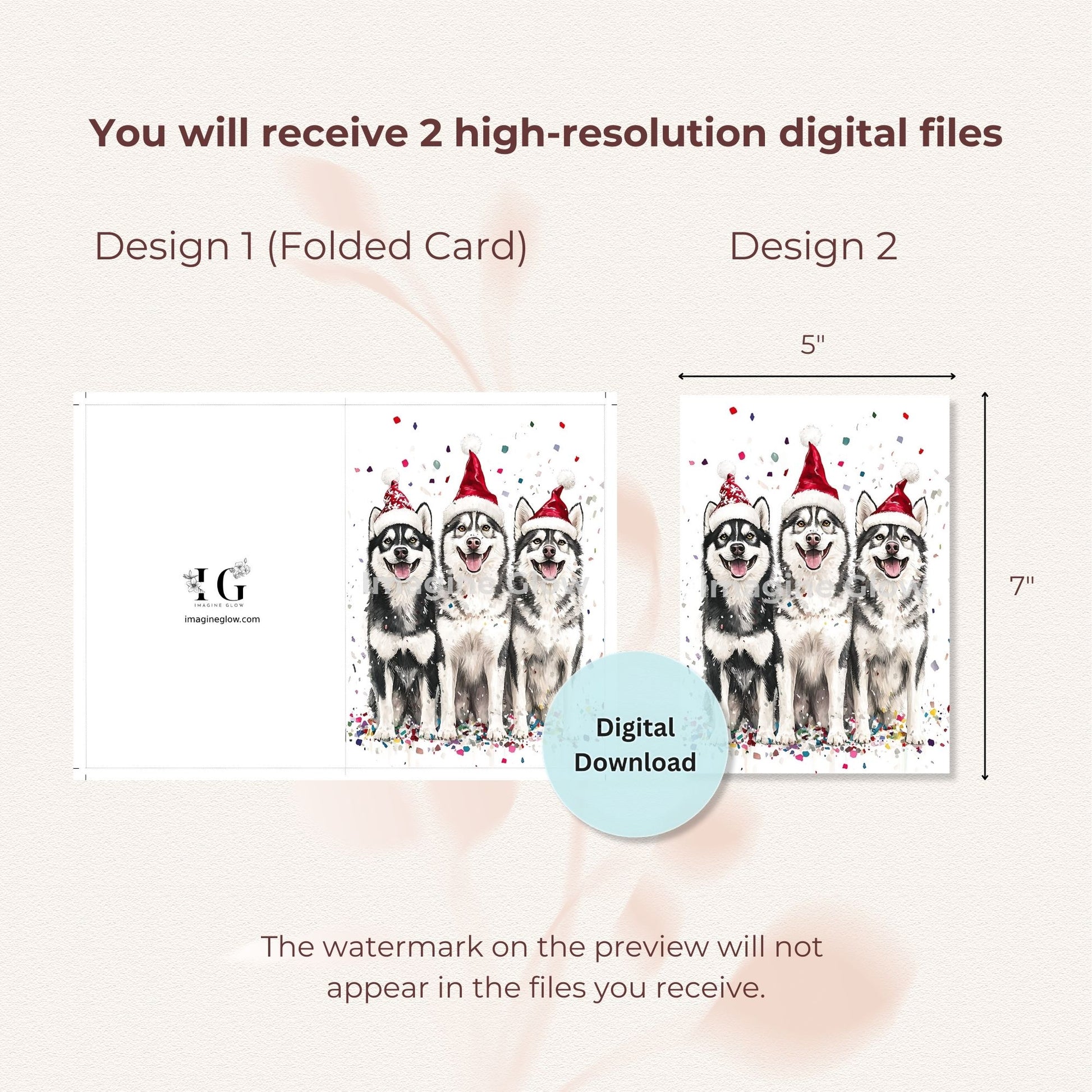 Winter celebration card with Siberian Husky illustration