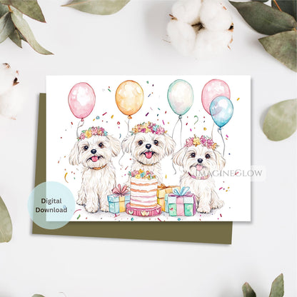 cute maltese dog birthday card
fluffy maltese printable birthday card
