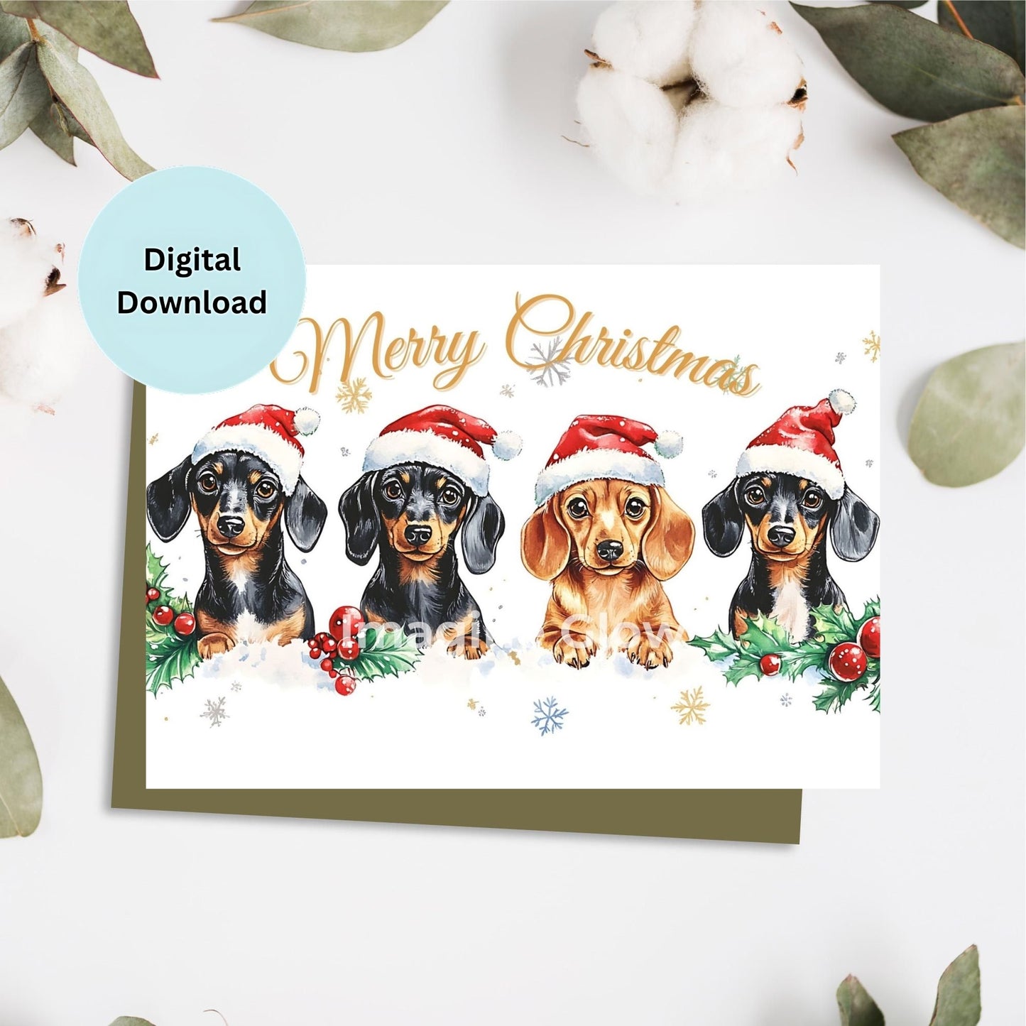 Festive Dachshund Christmas card with holiday dog illustration.