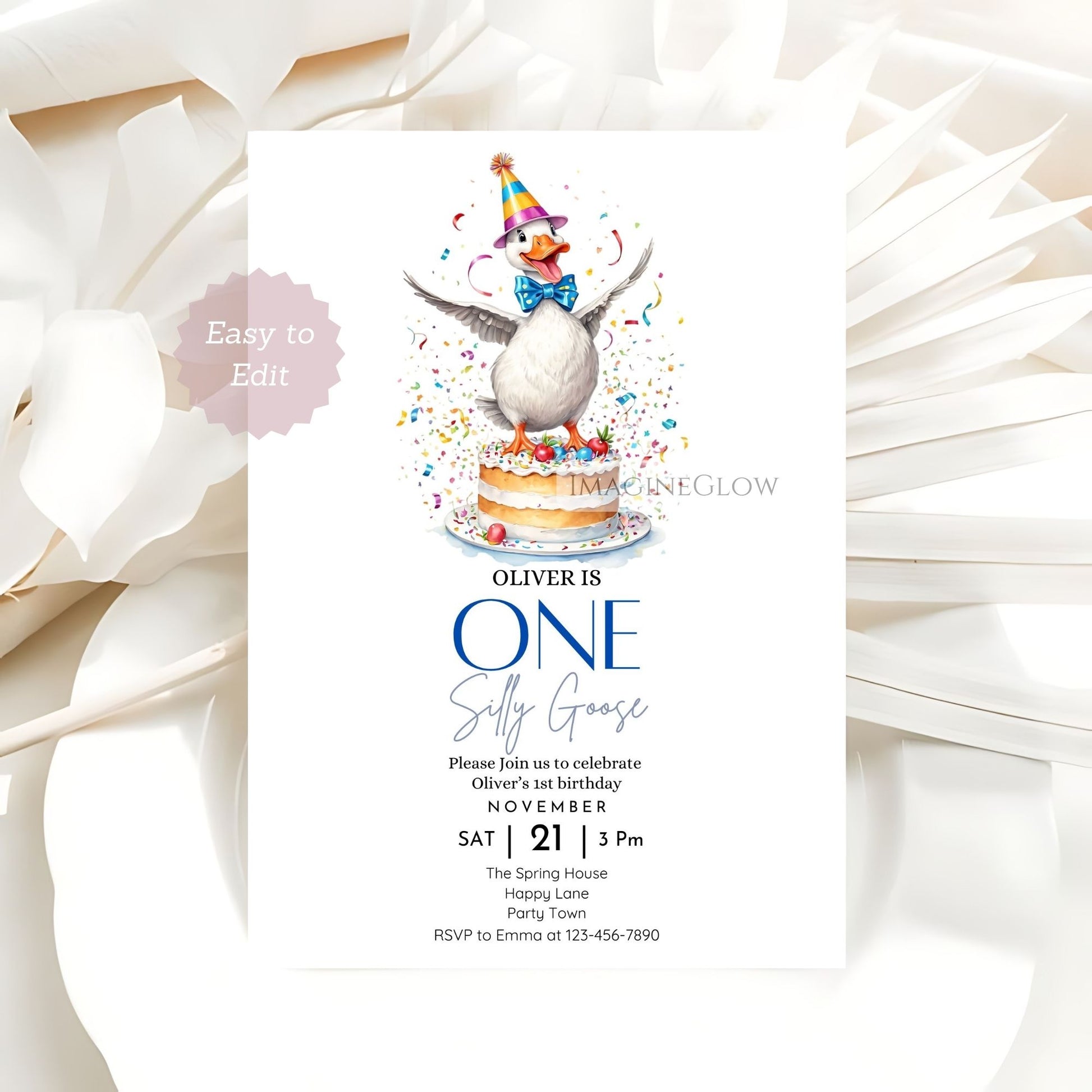 One Silly Goose boy birthday party invitation
