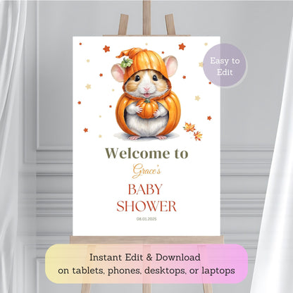 Cozy and charming Little Pumpkin baby shower poster with fall details.
