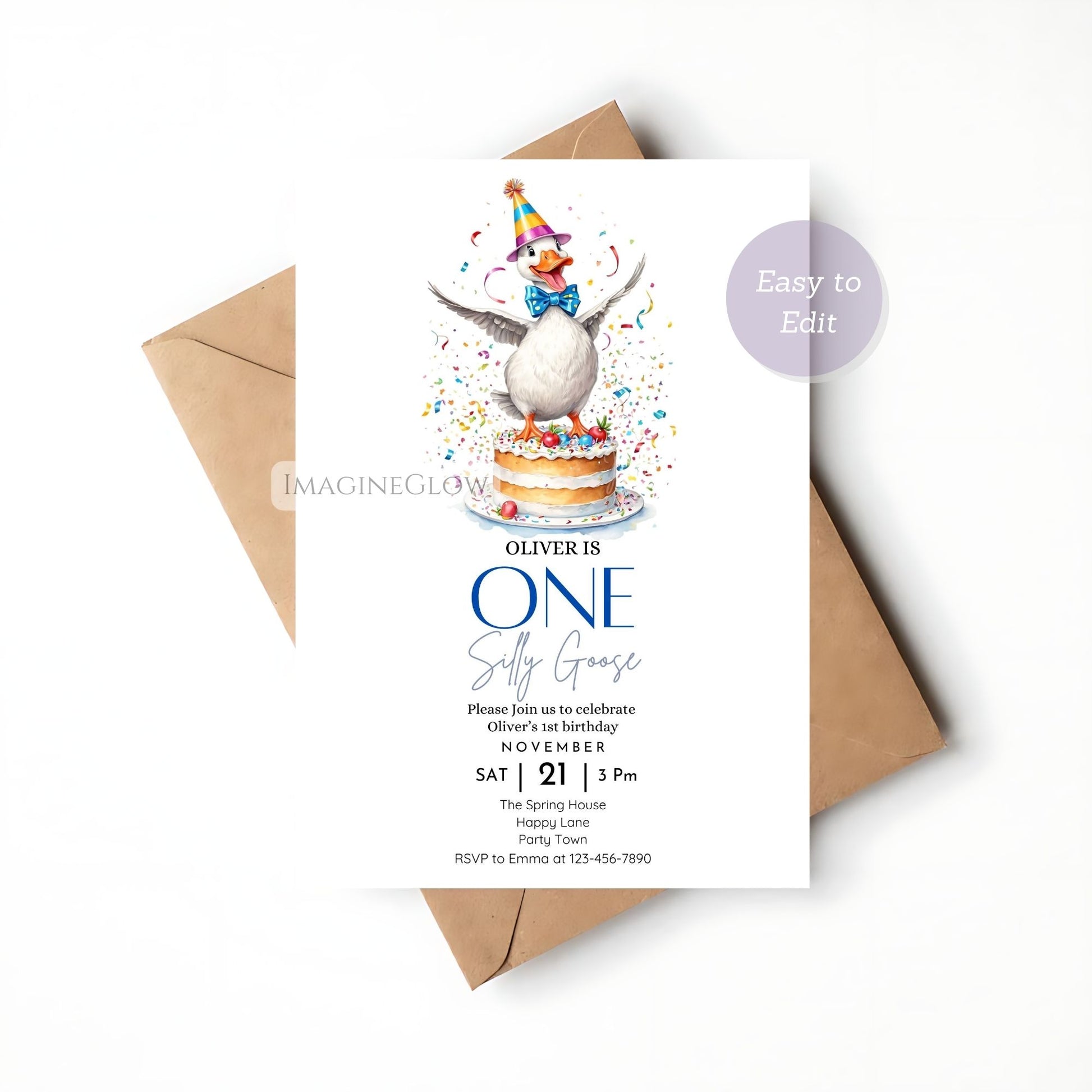Fun and playful goose first birthday invite
