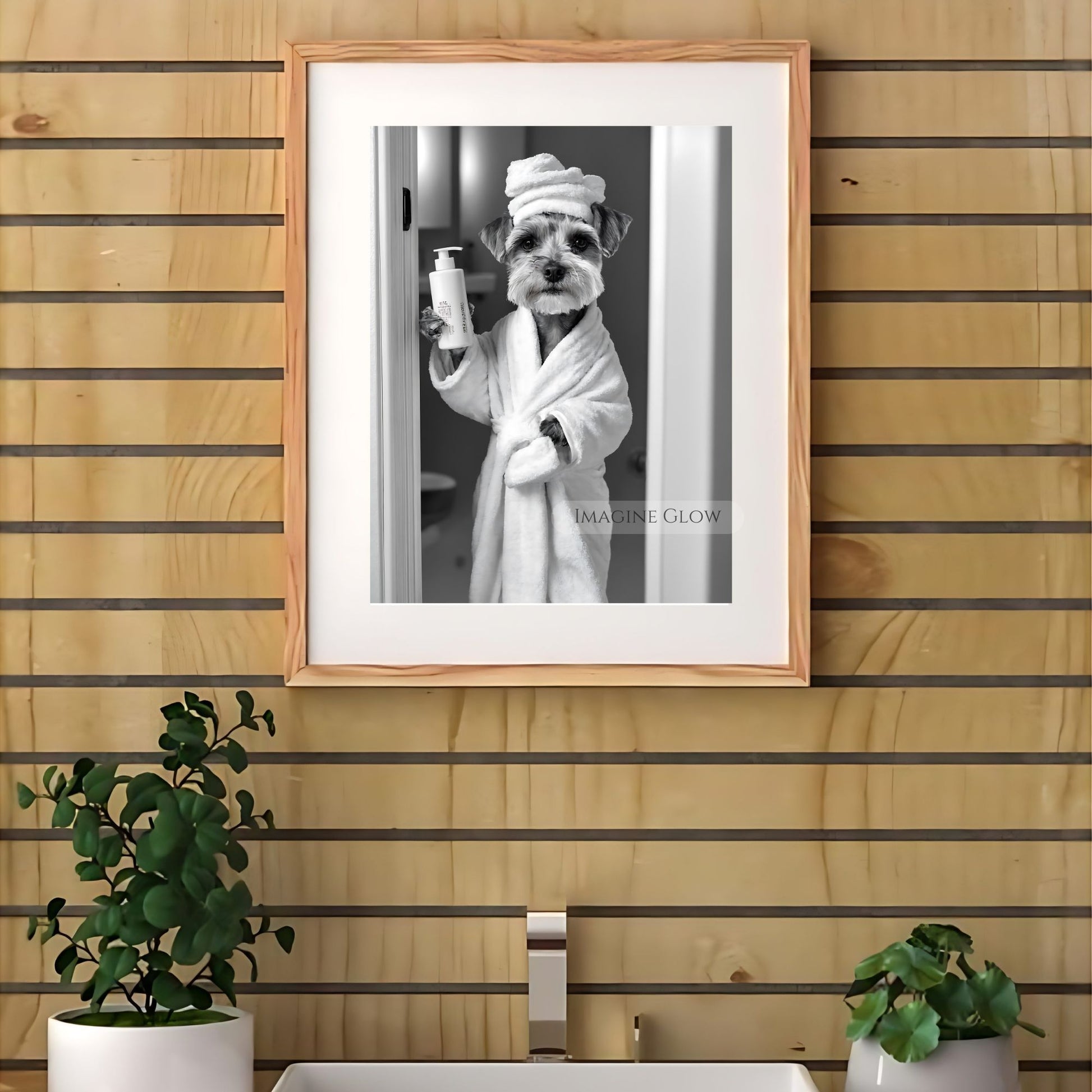 Black-and-white bathroom print of a Schnauzer dog
