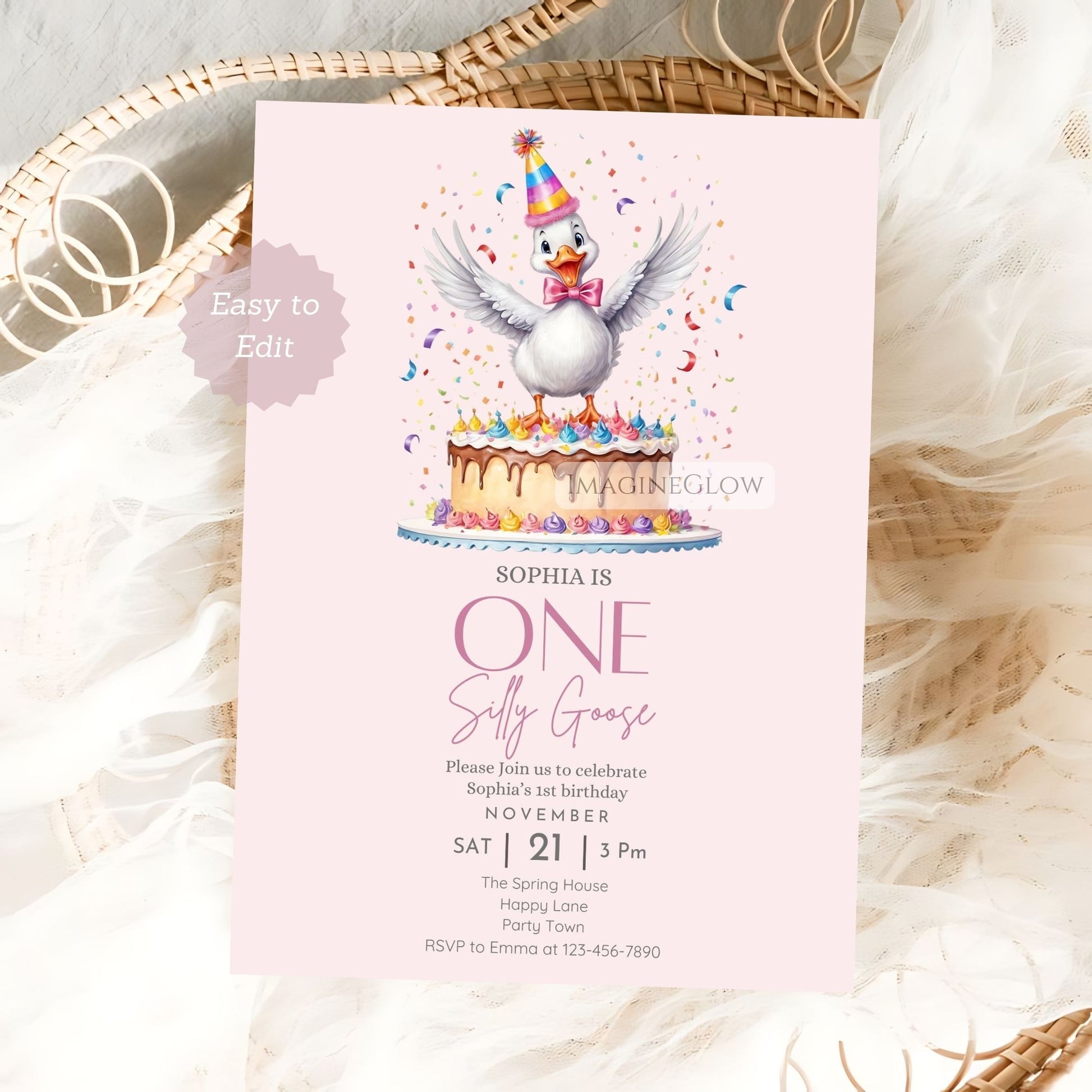 One Silly Goose birthday invitation
