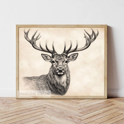 Elegant deer sketch print for wildlife lovers' homes.

