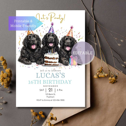 Newfoundland dog birthday invitation with a festive design for a dog party