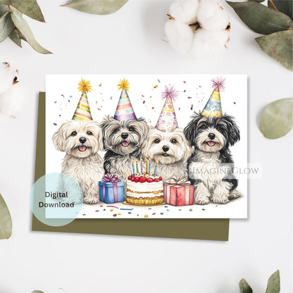 adorable havanese printable card
havanese puppy birthday card
