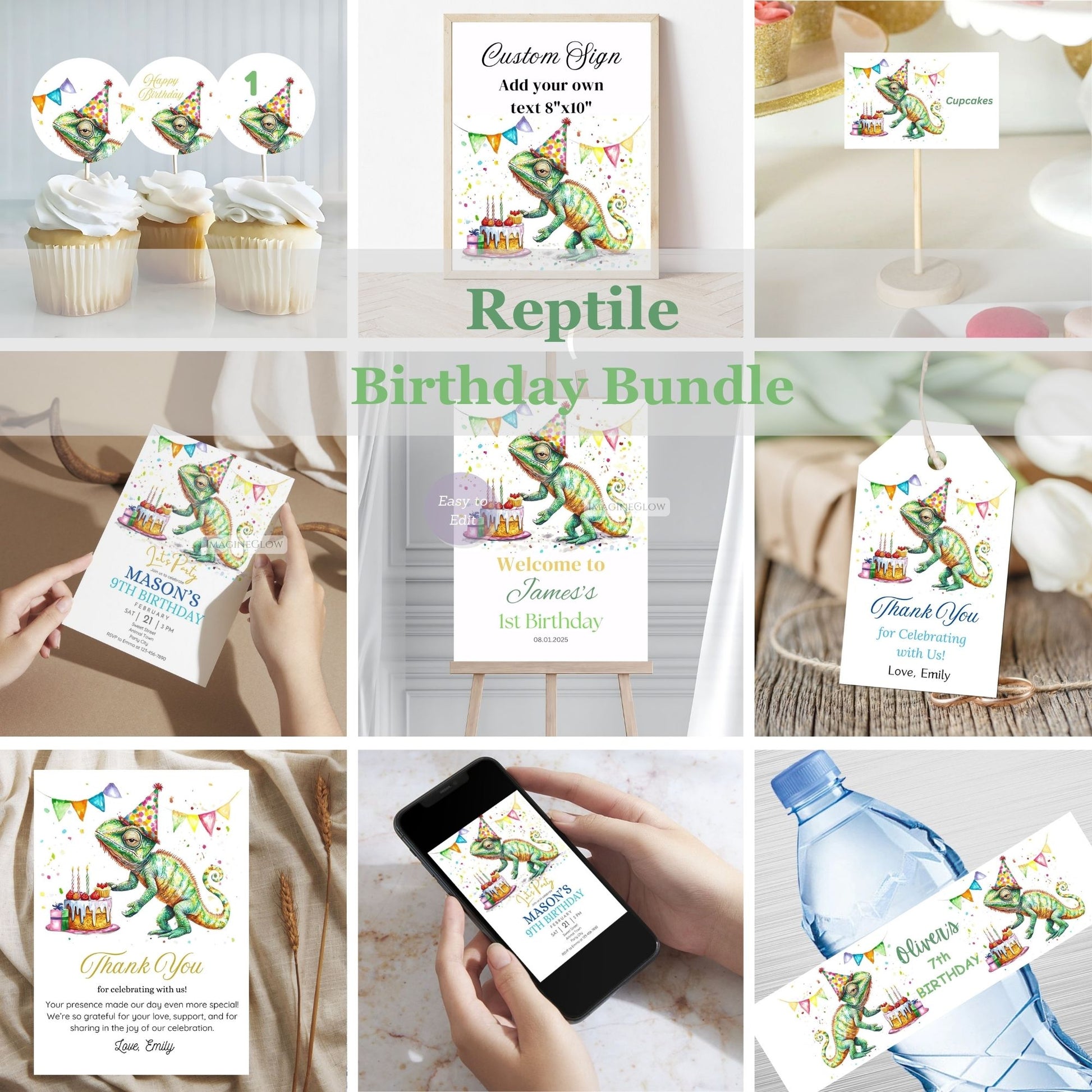 Set of reptile-themed birthday party supplies including signs, invitations, and decorations.