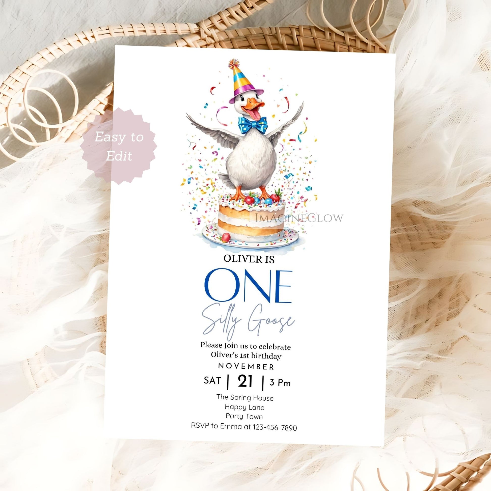 Silly Goose birthday invitation for little boy
