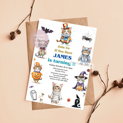 cat theme halloween birthday invitation
printable kitten halloween invitation design
