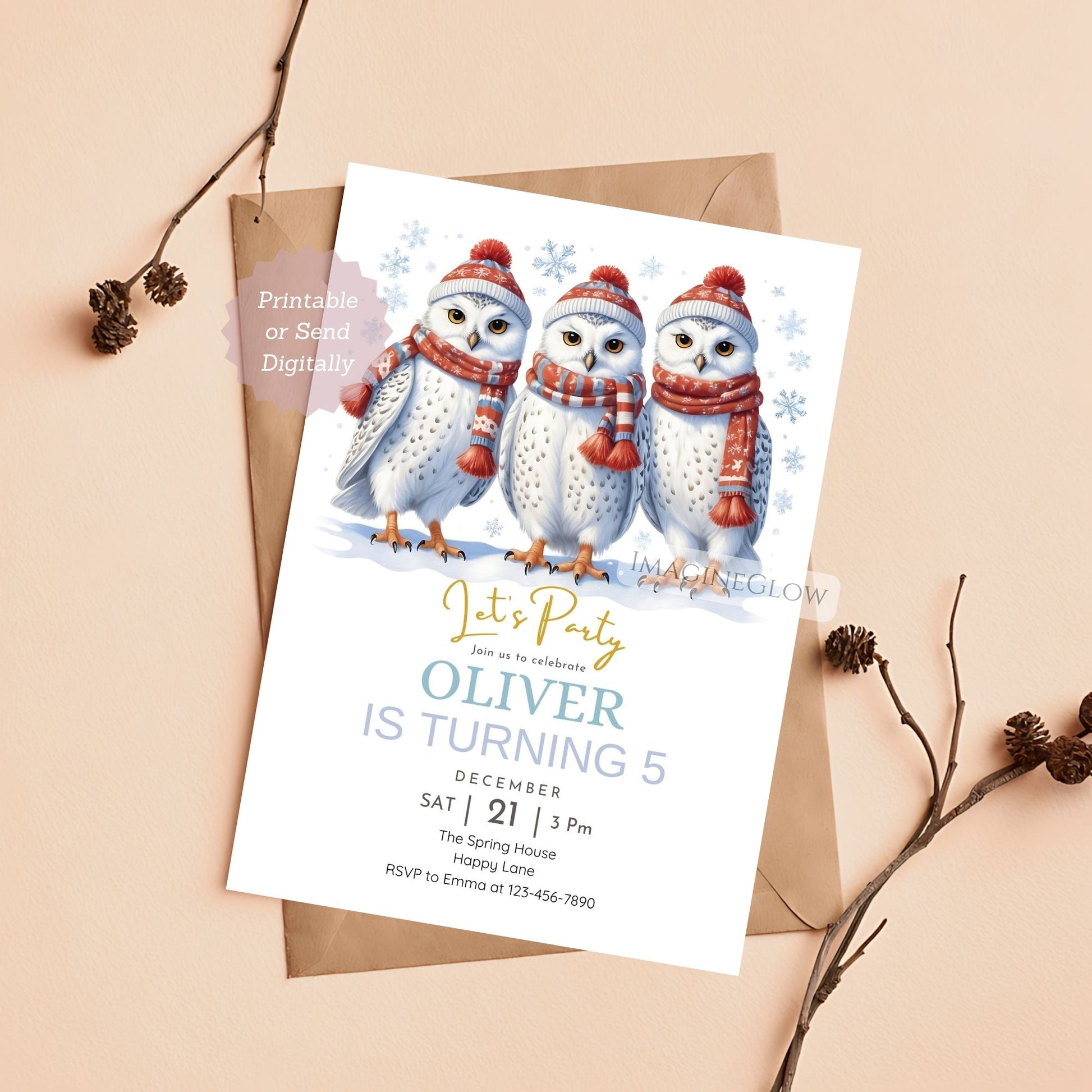 winter owl birthday invitation for boys and girls
