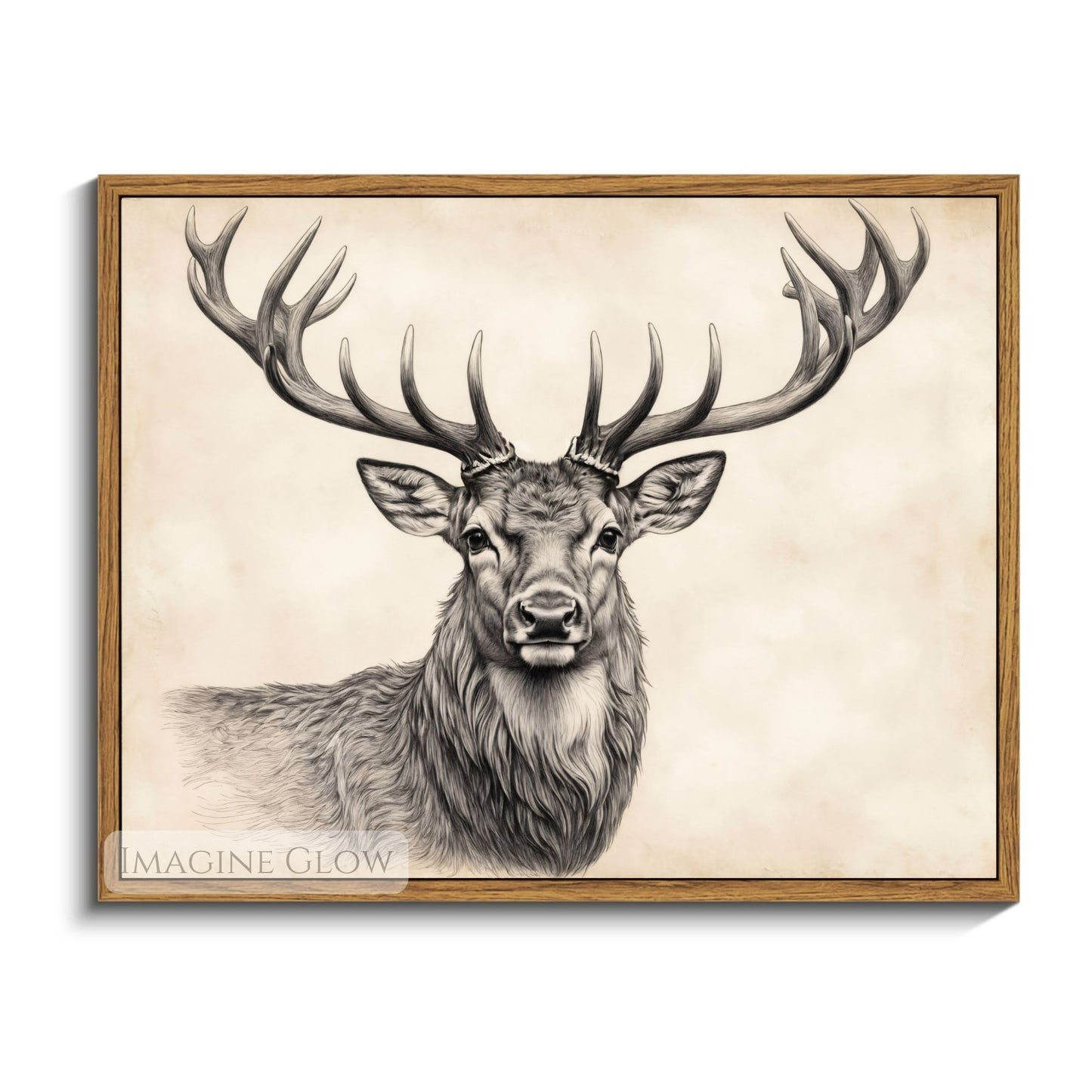 Hand-drawn deer illustration for woodland-inspired walls.

